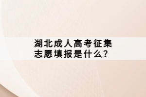 湖北成人高考征集志愿填報(bào)是什么？