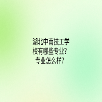 湖北中南技工學校有哪些專業(yè)？專業(yè)怎么樣？