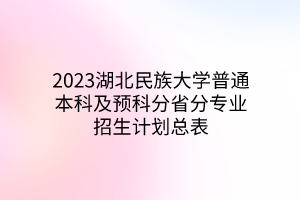 2023湖北民族大學(xué)普通本科及預(yù)科分省分專業(yè)招生計(jì)劃總表