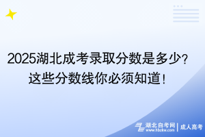 2025湖北成考錄取分數(shù)是多少？這些分數(shù)線你必須知道！