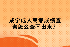 咸寧成人高考成績(jī)查詢(xún)?cè)趺床椴怀鰜?lái)？