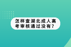 怎樣查湖北成人高考審核通過沒有？