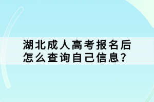 湖北成人高考報名后怎么查詢自己信息？