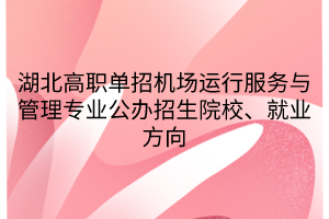 湖北高職單招機場運行服務(wù)與管理專業(yè)公辦招生院校、就業(yè)方向