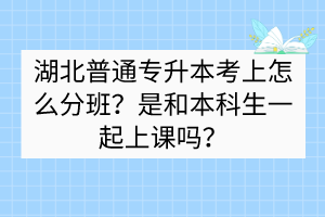 湖北普通專升本考上怎么分班？是和本科生一起上課嗎？