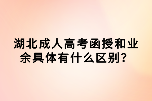 湖北成人高考函授和業(yè)余具體有什么區(qū)別？
