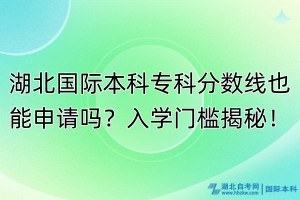 湖北國際本科?？品謹?shù)線也能申請嗎？入學門檻揭秘！