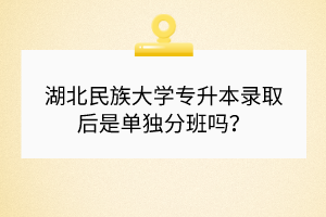 湖北民族大學專升本錄取后是單獨分班嗎？