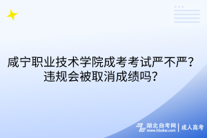 咸寧職業(yè)技術(shù)學(xué)院成考考試嚴(yán)不嚴(yán)？違規(guī)會被取消成績嗎？