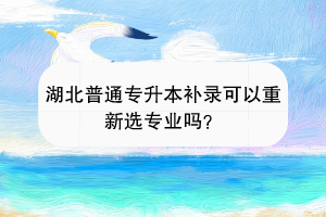 湖北普通專升本補錄可以重新選專業(yè)嗎？