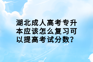 湖北成人高考專升本應(yīng)該怎么復(fù)習(xí)可以提高考試分?jǐn)?shù)？