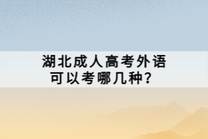 湖北成人高考外語可以考哪幾種？