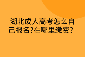 湖北成人高考怎么自己報名?在哪里繳費？