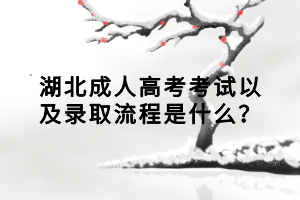 湖北成人高考考試以及錄取流程是什么？