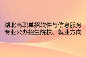 湖北高職單招軟件與信息服務(wù)專業(yè)公辦招生院校、就業(yè)方向