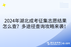 2024年湖北成考征集志愿結(jié)果怎么查？多途徑查詢攻略來襲！