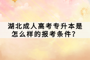 湖北成人高考專升本是怎么樣的報(bào)考條件？