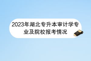 2023年湖北專升本審計學(xué)專業(yè)及院校報考情況