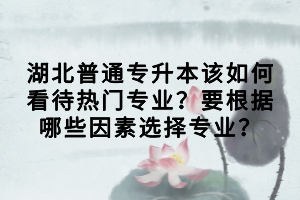 湖北普通專升本該如何看待熱門專業(yè)？要根據(jù)哪些因素選擇專業(yè)？