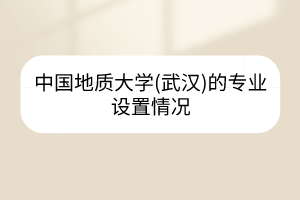 中國(guó)地質(zhì)大學(xué)(武漢)的專業(yè)設(shè)置情況