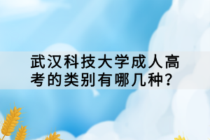 武漢科技大學成人高考的類別有哪幾種？