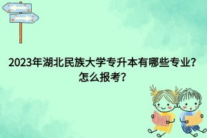 湖北民族大學專升本有哪些專業(yè)？怎么報考？
