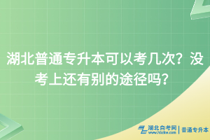 湖北普通專升本可以考幾次？沒考上還有別的途徑嗎？