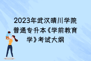 2023年武漢晴川學(xué)院普通專(zhuān)升本《學(xué)前教育學(xué)》考試大綱