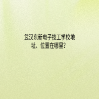武漢東新電子技工學(xué)校地址、位置在哪里？