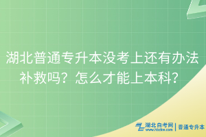 湖北普通專升本沒考上還有辦法補(bǔ)救嗎？怎么才能上本科？