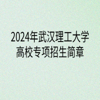 2024年武漢理工大學高校專項計劃招生簡章