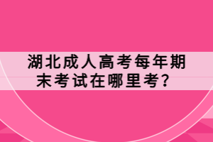 湖北成人高考每年期末考試在哪里考？