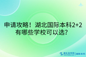 申請攻略！湖北國際本科2+2有哪些學(xué)校可以選？