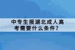 中專生報(bào)湖北成人高考需要什么條件？