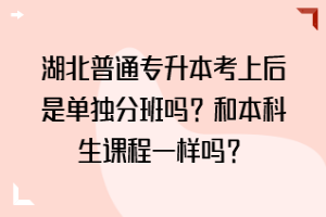 湖北普通專升本考上后是單獨(dú)分班嗎？和本科生課程一樣嗎？