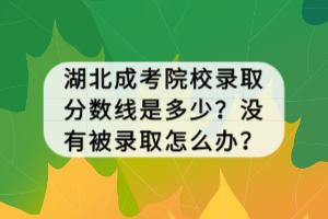 湖北成考院校錄取分數(shù)線是多少？沒有被錄取怎么辦？