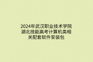 2024年武漢職業(yè)技術(shù)學(xué)院湖北技能高考計算機(jī)類相關(guān)配套軟件安裝包