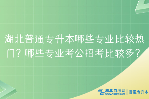 湖北普通專升本哪些專業(yè)比較熱門(mén)？哪些專業(yè)考公招考比較多？