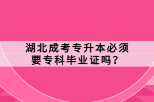 湖北成考專升本必須要?？飘厴I(yè)證嗎？