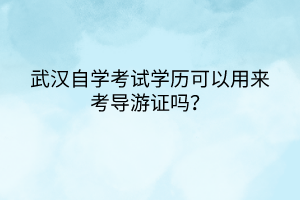 武漢自學考試學歷可以用來考導游證嗎？