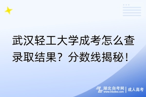 武漢輕工大學成考怎么查錄取結果？分數線揭秘！