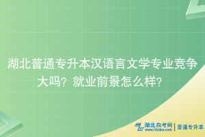 湖北普通專升本漢語言文學(xué)專業(yè)競爭大嗎？就業(yè)前景怎么樣？