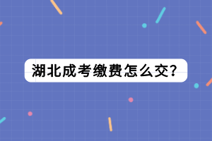 湖北成考繳費(fèi)怎么交？