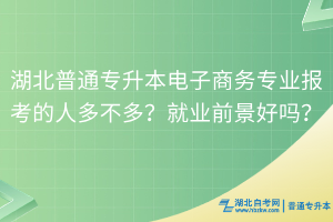 湖北普通專升本電子商務(wù)專業(yè)報考的人多不多？就業(yè)前景好嗎？