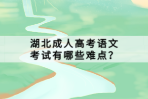 湖北成人高考語文考試有哪些難點？