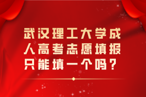 武漢理工大學(xué)成人高考志愿填報(bào)只能填一個(gè)嗎？