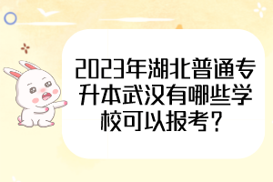 2023年湖北普通專升本武漢有哪些學(xué)?？梢詧?bào)考？