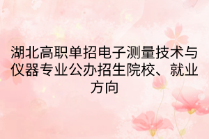 湖北高職單招電子測量技術(shù)與儀器專業(yè)公辦招生院校、就業(yè)方向