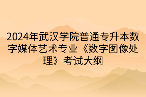 2024年武漢學(xué)院普通專升本數(shù)字媒體藝術(shù)專業(yè)《數(shù)字圖像處理》考試大綱