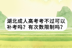 湖北成人高考考不過可以補(bǔ)考嗎？有次數(shù)限制嗎？